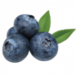 Blueberry Daze